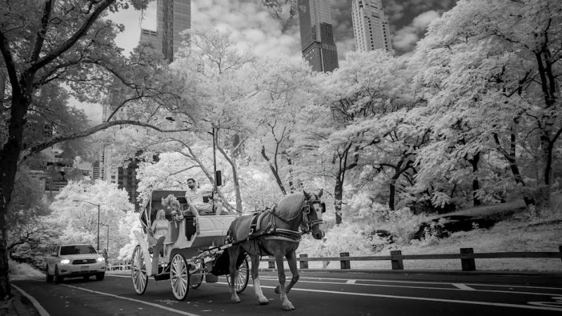 Citas Anónimas en la Era Digital