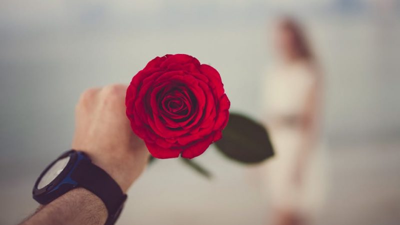 Aplicaciones de citas en La Habana, una nueva forma de encontrar amor y amistad