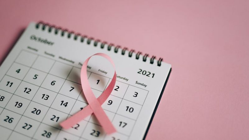 Conocer Chicas con Cámara una Guía para Ampliar tu Círculo Social