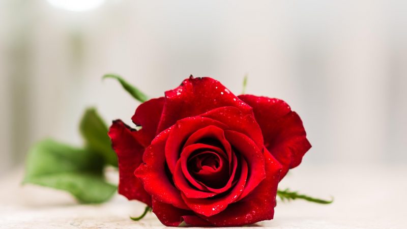 Coquetear Online Gratis: Consejos y Estrategias Efectivas