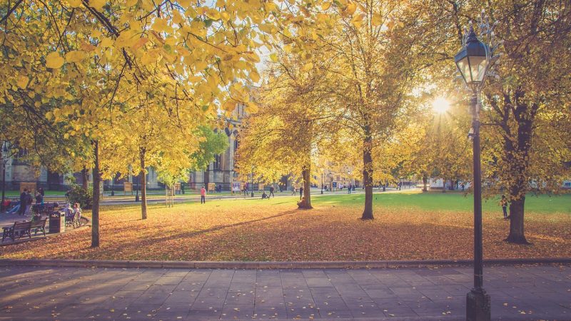 Citas modernas en Caracas combinando tradición y tecnología