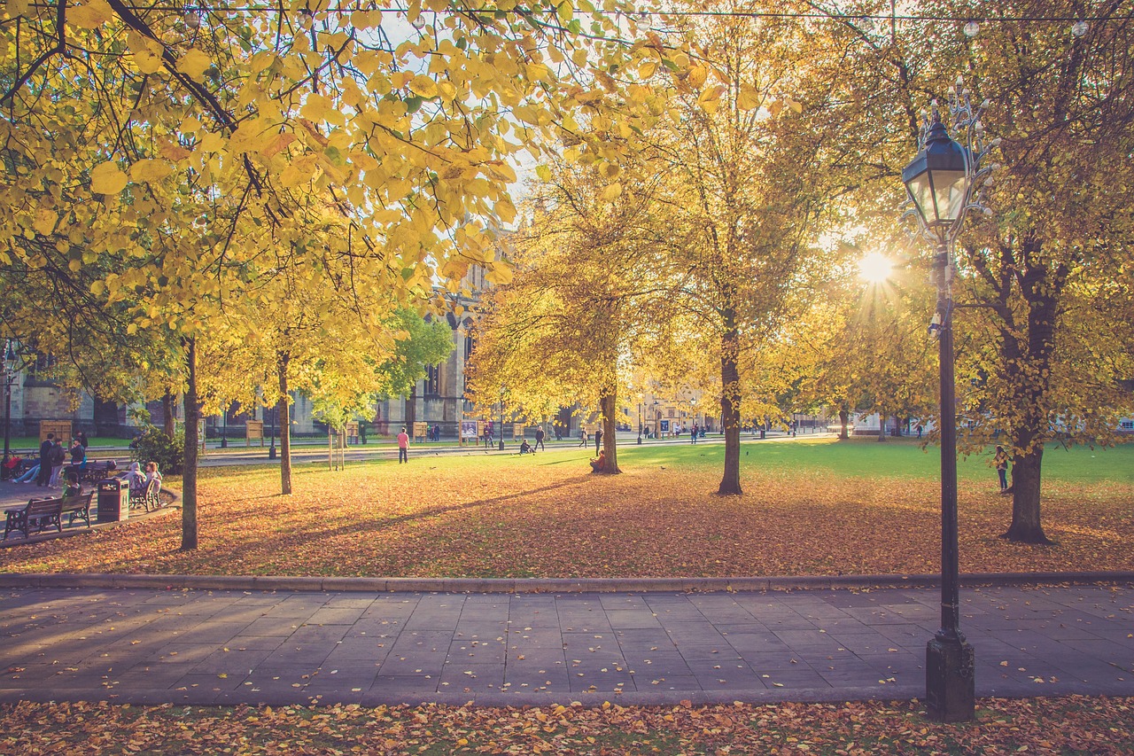 Citas modernas en Caracas combinando tradición y tecnología